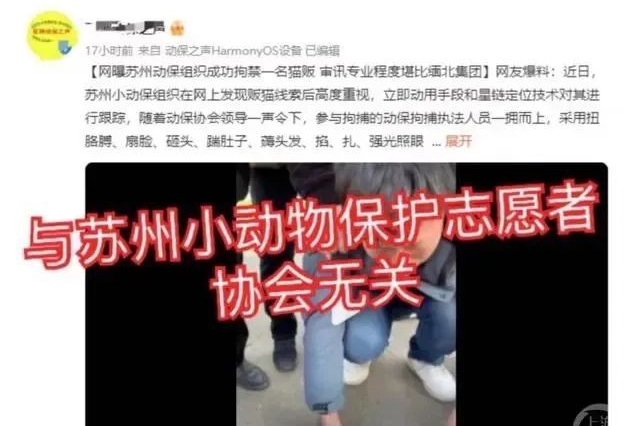 “志愿者”拘禁猫贩？江苏一地最新通报